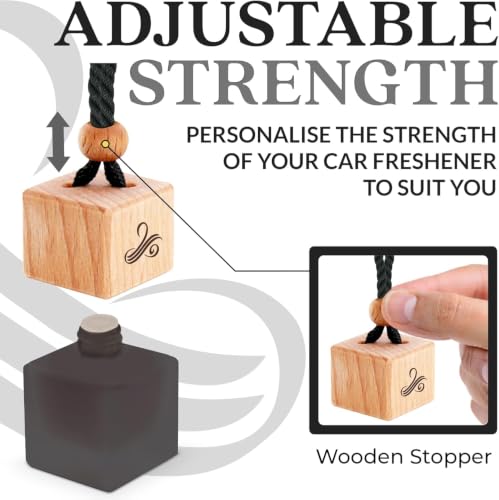 Men's Car Air Freshener Perfume Diffuser