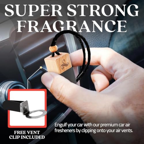 Men's Car Air Freshener Perfume Diffuser